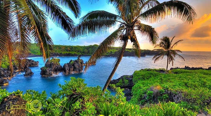 افضل فنادق هاواي من فئة خمس نجوم في هاواي