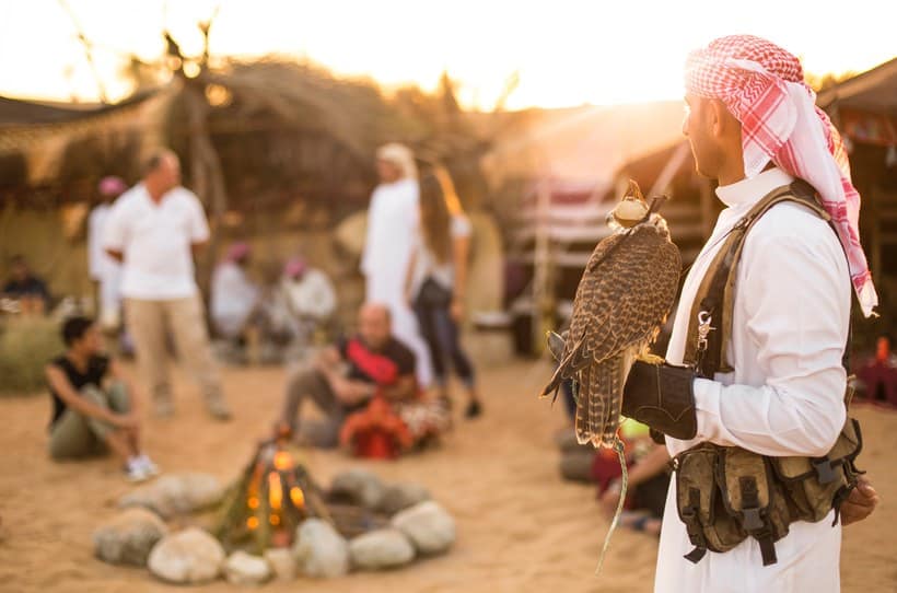سفاري الحياة البدوية والبرية بواسطة Platinum Heritage افضل رحلات سفاري في دبي