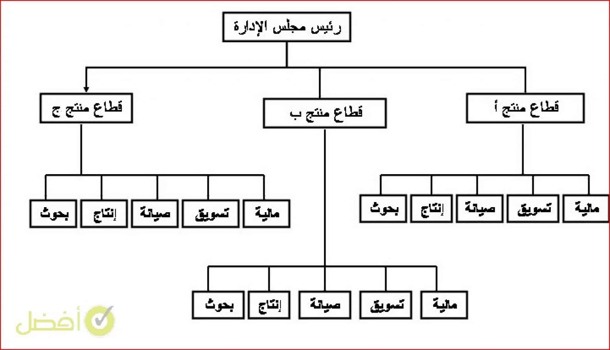 مستويات التنظيم في الخلايا حسب تنظيمها