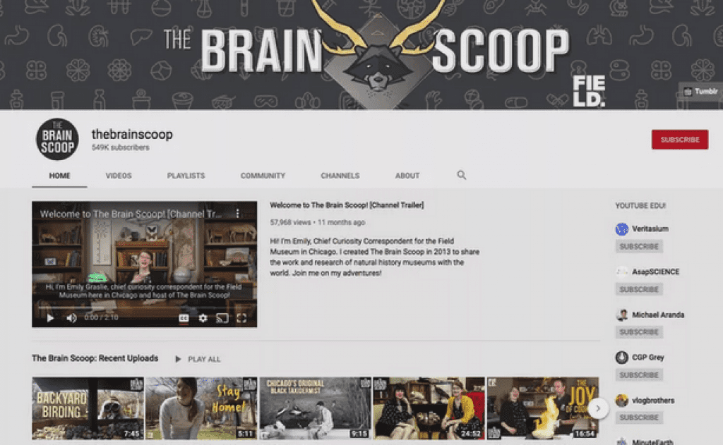 أفضل قناة لمتحف العلوم  The Brain Scoop