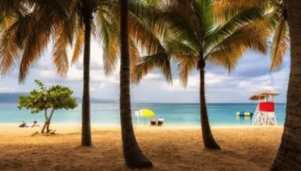 جامايكا Jamaica أفضل الوجهات السياحية في ديسمبر