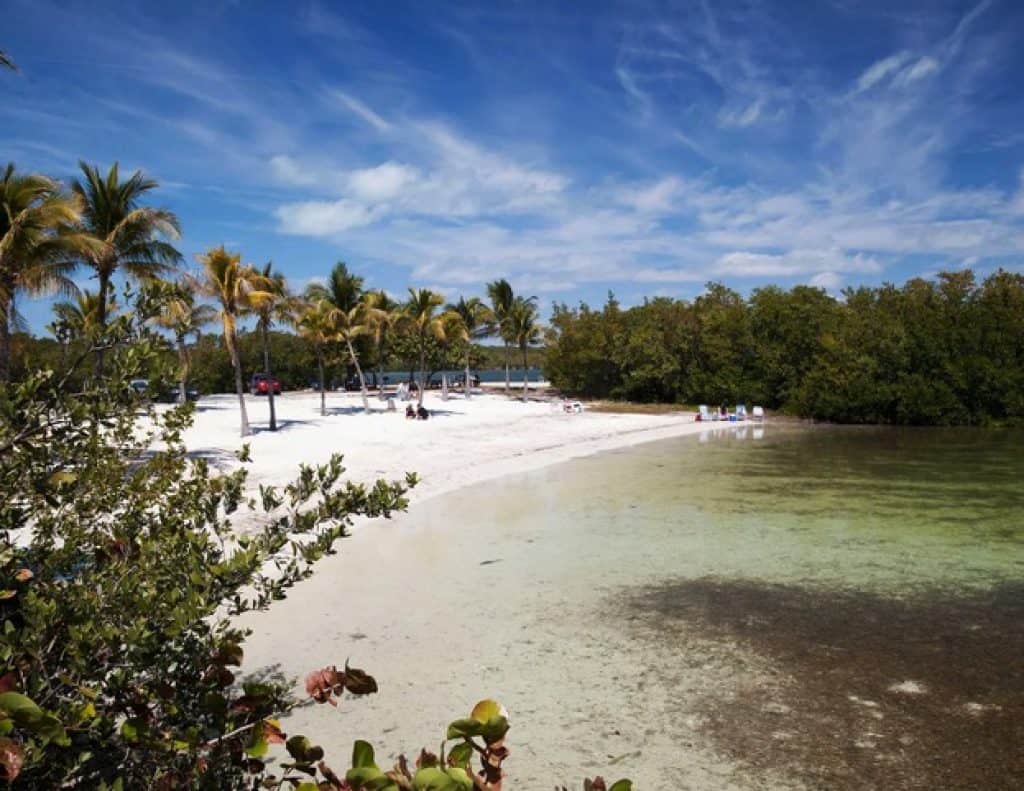 منتزه جون بينكامب كورال ريف John Pennekamp Coral Reef Park أفضل الشواطئ في فلوريدا