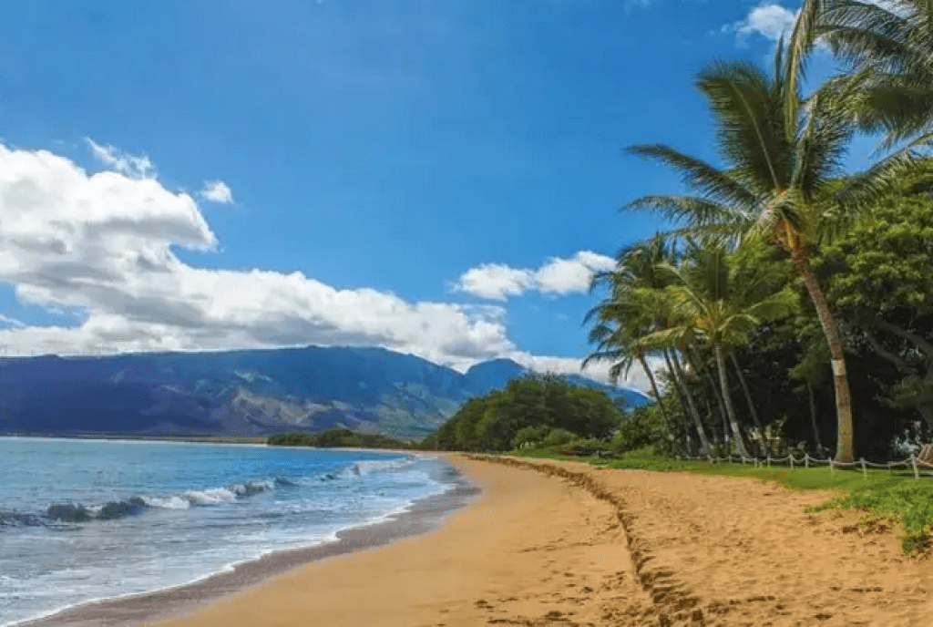 ماوي – هاواي Maui أفضل الوجهات لقضاء الاجازة الصيفية