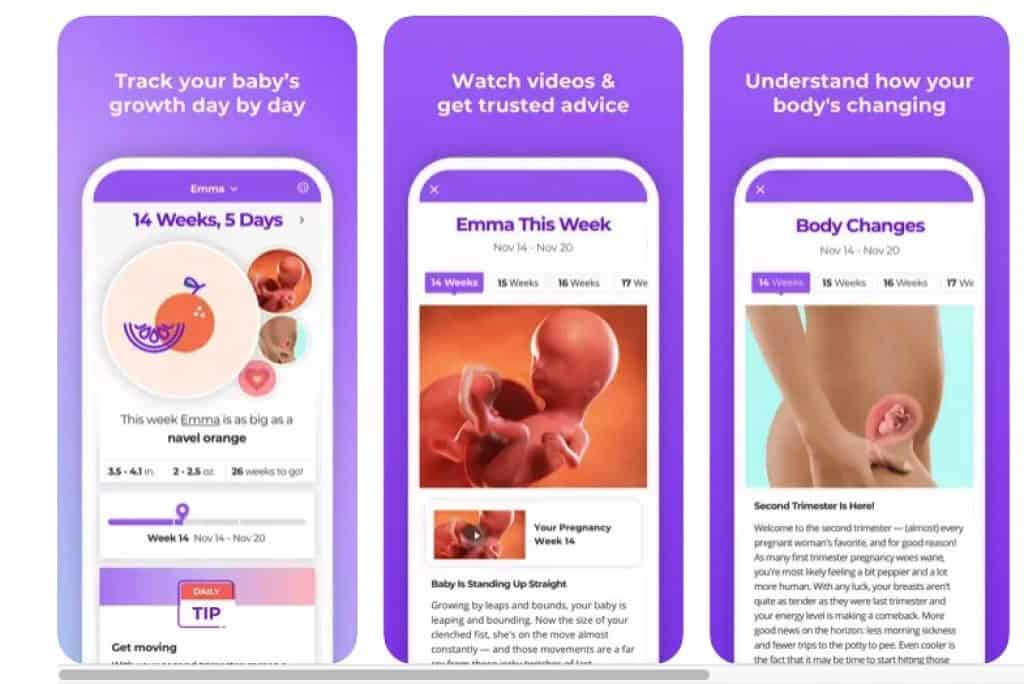بريجنسي بيبي تريكر Pregnancy & Baby Tracker أفضل تطبيقات الحمل والأمومة
