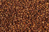 افضل محاصيل قهوة في العالم 2023